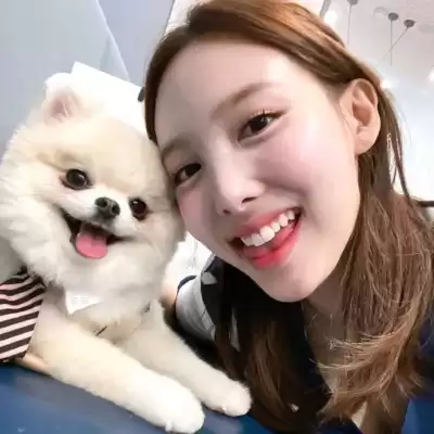 鄂娴淑